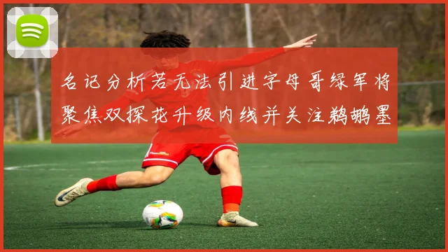 名记分析若无法引进字母哥绿军将聚焦双探花升级内线并关注鹈鹕墨菲